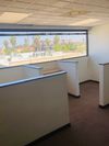 4452 Park Blvd #313 #314 photo
